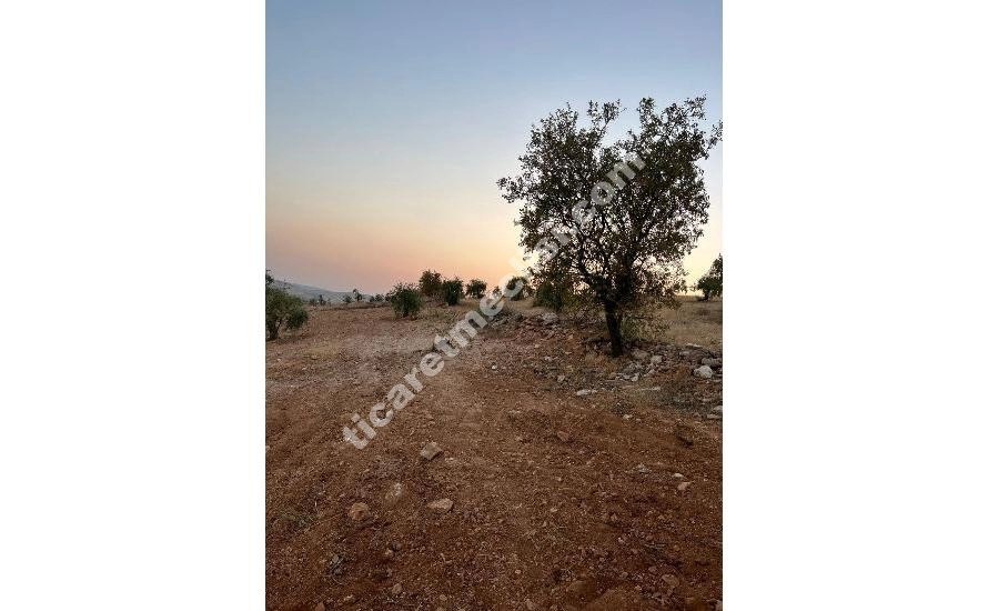 KOCATEPE DE 1275 METRE TEK TAPU MANZARALI ARAZİ_7