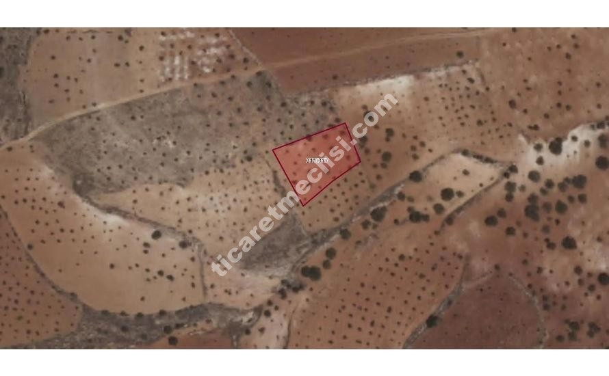 KOCATEPE DE 1275 METRE TEK TAPU MANZARALI ARAZİ_13