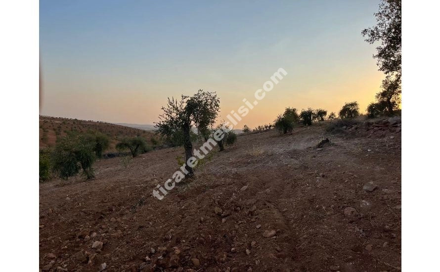 KOCATEPE DE 1275 METRE TEK TAPU MANZARALI ARAZİ_11