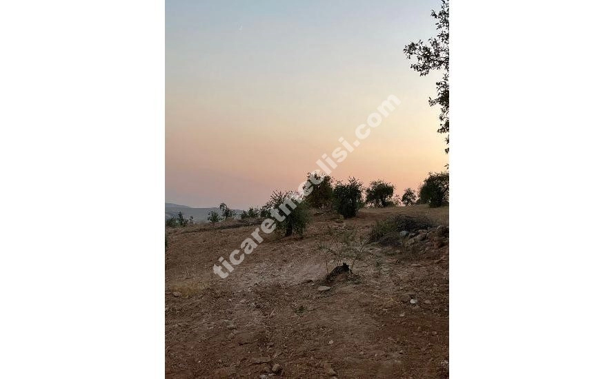 KOCATEPE DE 1275 METRE TEK TAPU MANZARALI ARAZİ_5