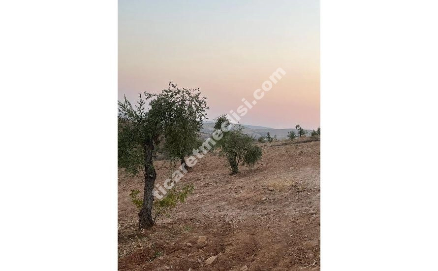 KOCATEPE DE 1275 METRE TEK TAPU MANZARALI ARAZİ_2