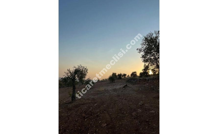 KOCATEPE DE 1275 METRE TEK TAPU MANZARALI ARAZİ_9