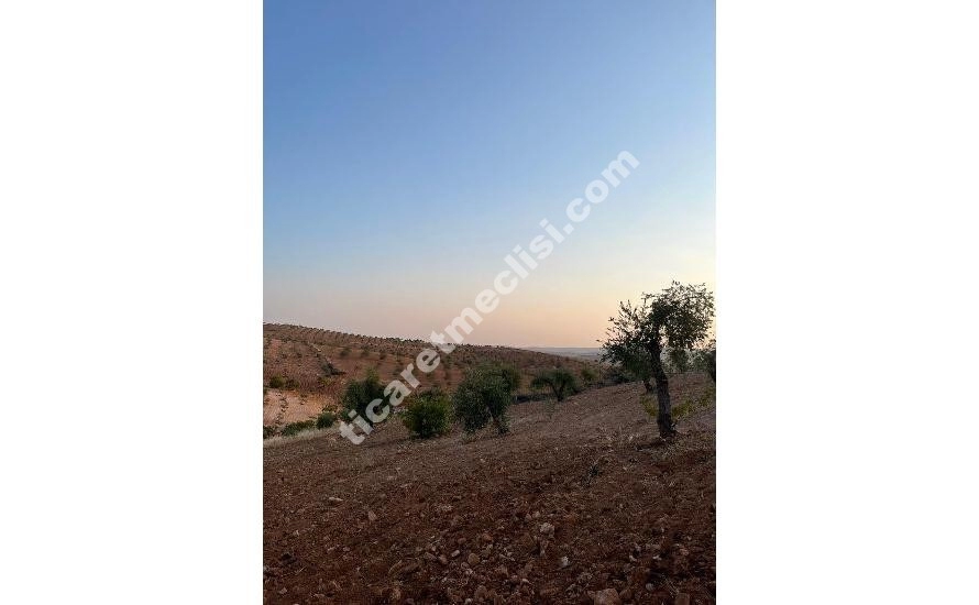 KOCATEPE DE 1275 METRE TEK TAPU MANZARALI ARAZİ_8